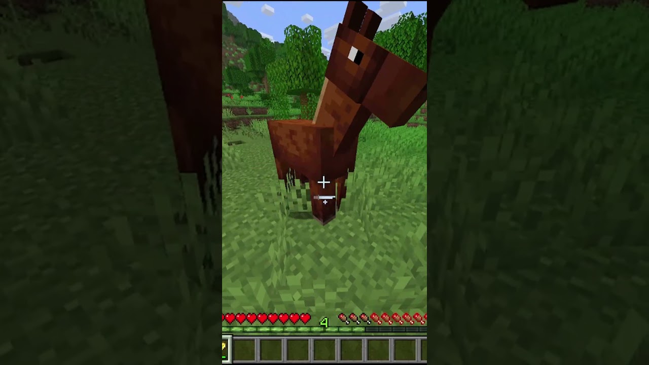 Minecraft tips for beginners