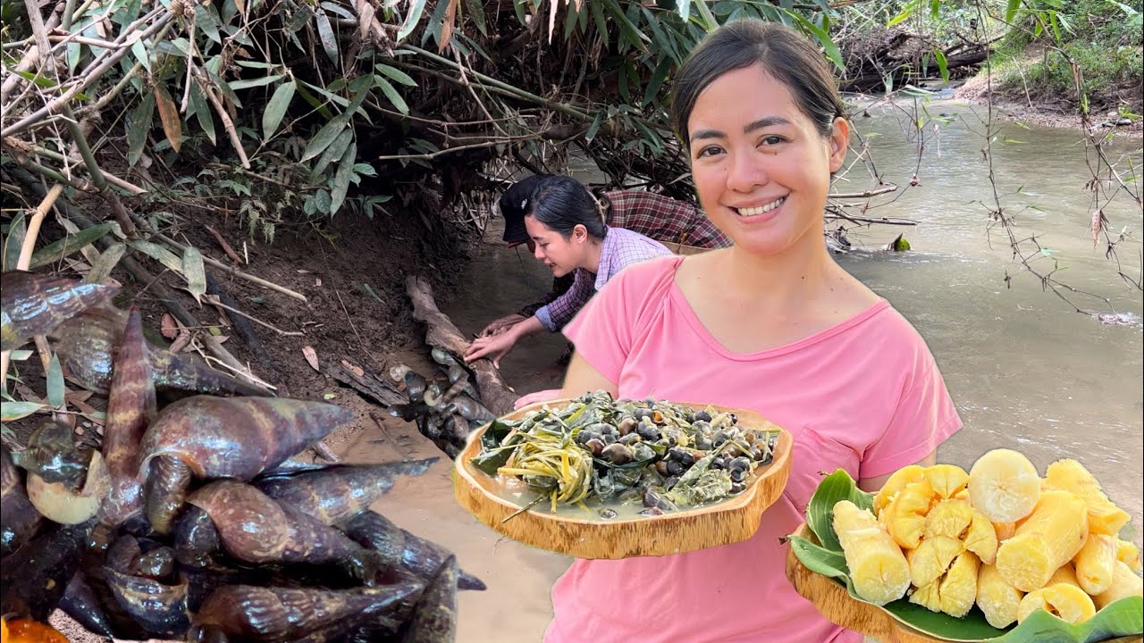 (Ginataang Suso) Freshwater Snail in Coconut Milk with Young Furled Taro Leaves - Gabi Province Life