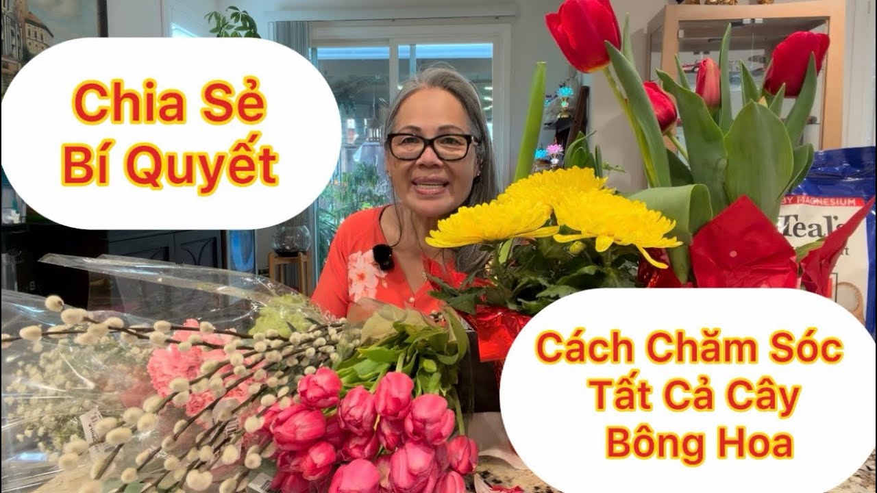 Tập 1932: Chia Sẻ Hết Bí Quyết Cách Làm Sao Cho Cây Bông Hoa Trong Nhà Ngoài Vườn Luôn Tươi Đẹp 