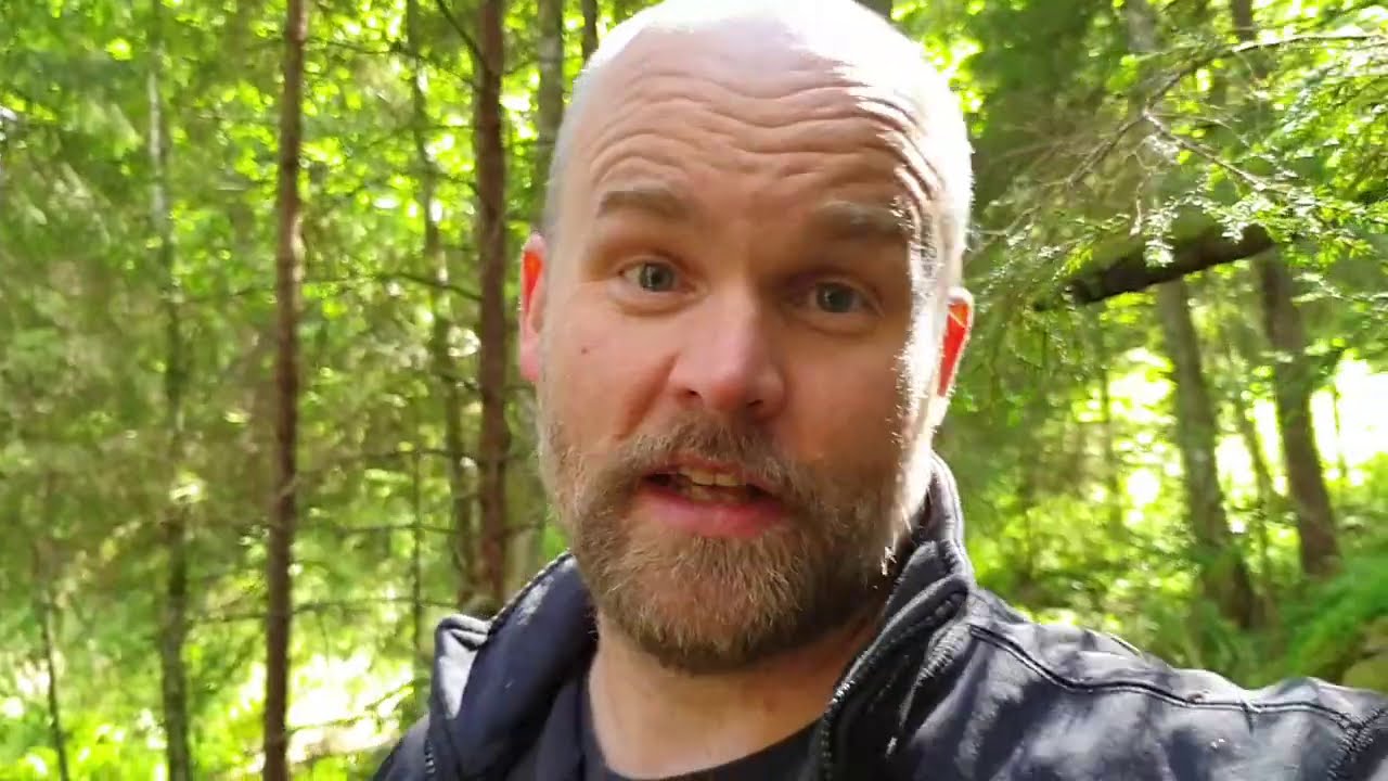 Rekordgranen i Mölnbacka angripen av granbarkborre