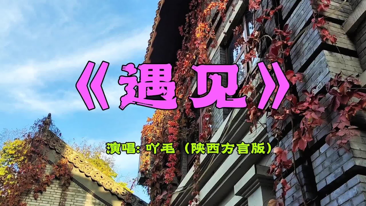 纯正的陕西方言版《遇见》，温柔亲切，感人至深#陕西话版遇见 #陕西方言 #家乡话 #陕西话 #方言