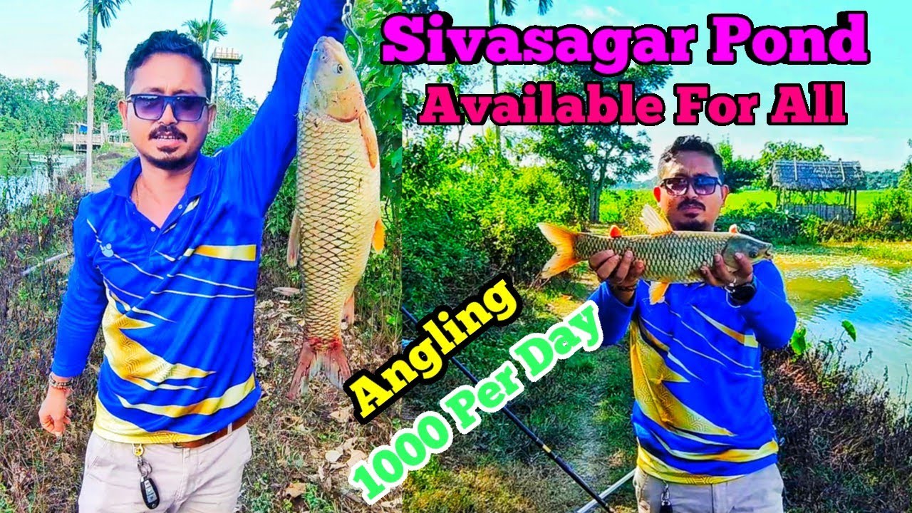 Sivasagar Pond || Fishing 