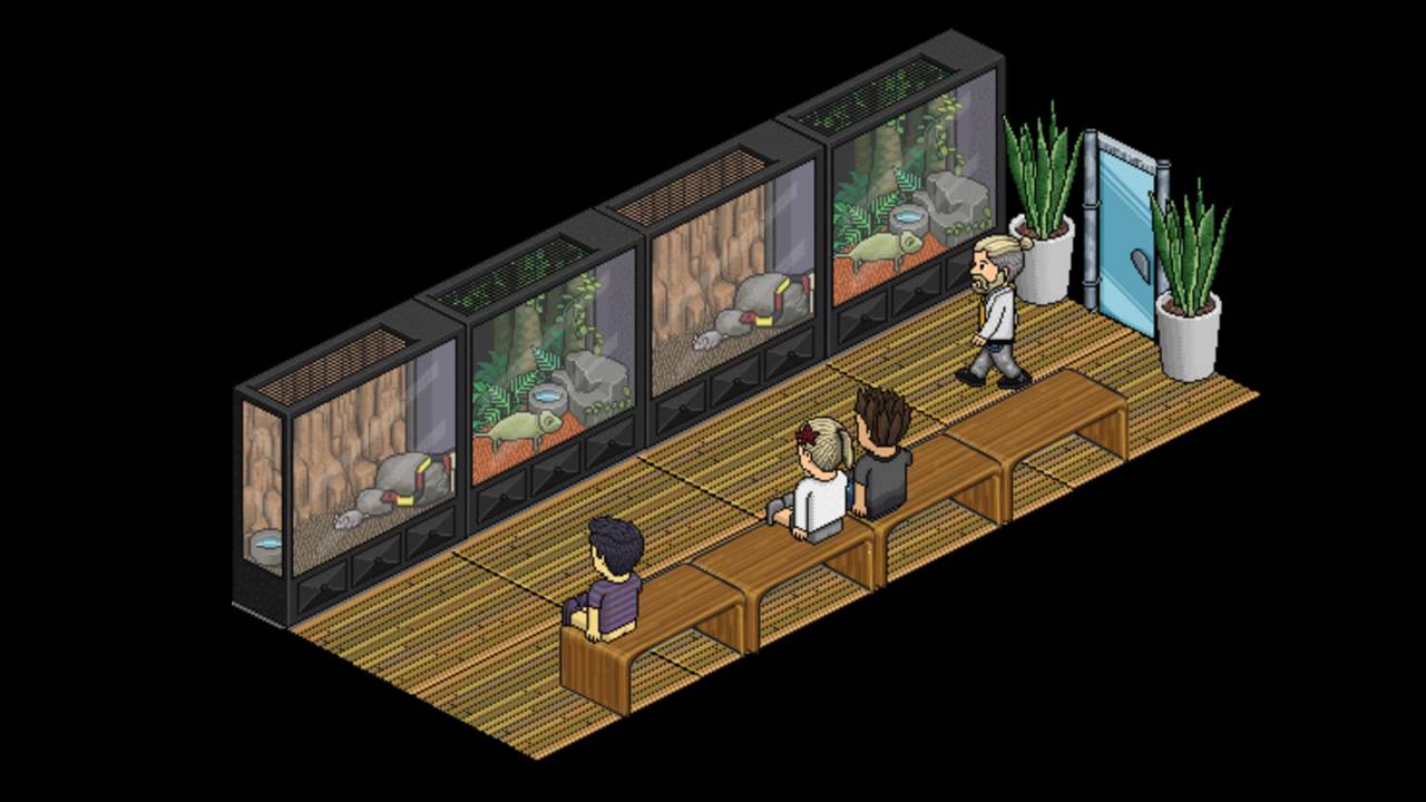 Desmayo en el Zoo Habbo