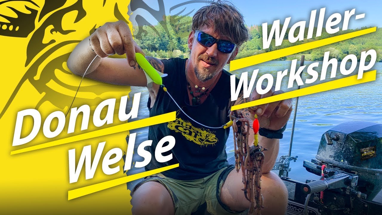 Welsangeln an der Donau | Umlenkboje und Tauwurm | Waller-Workshop