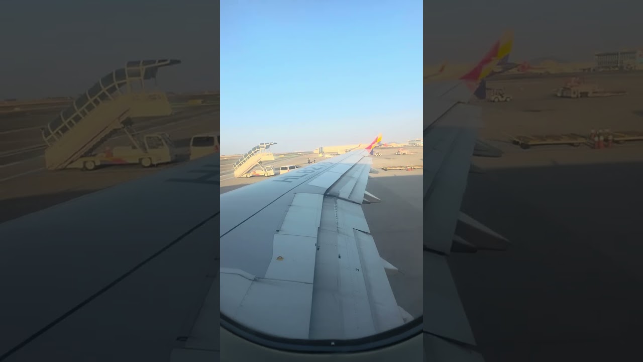 HL8279 - Airbus A321-231 - Asiana Airlines #제주국제공항 