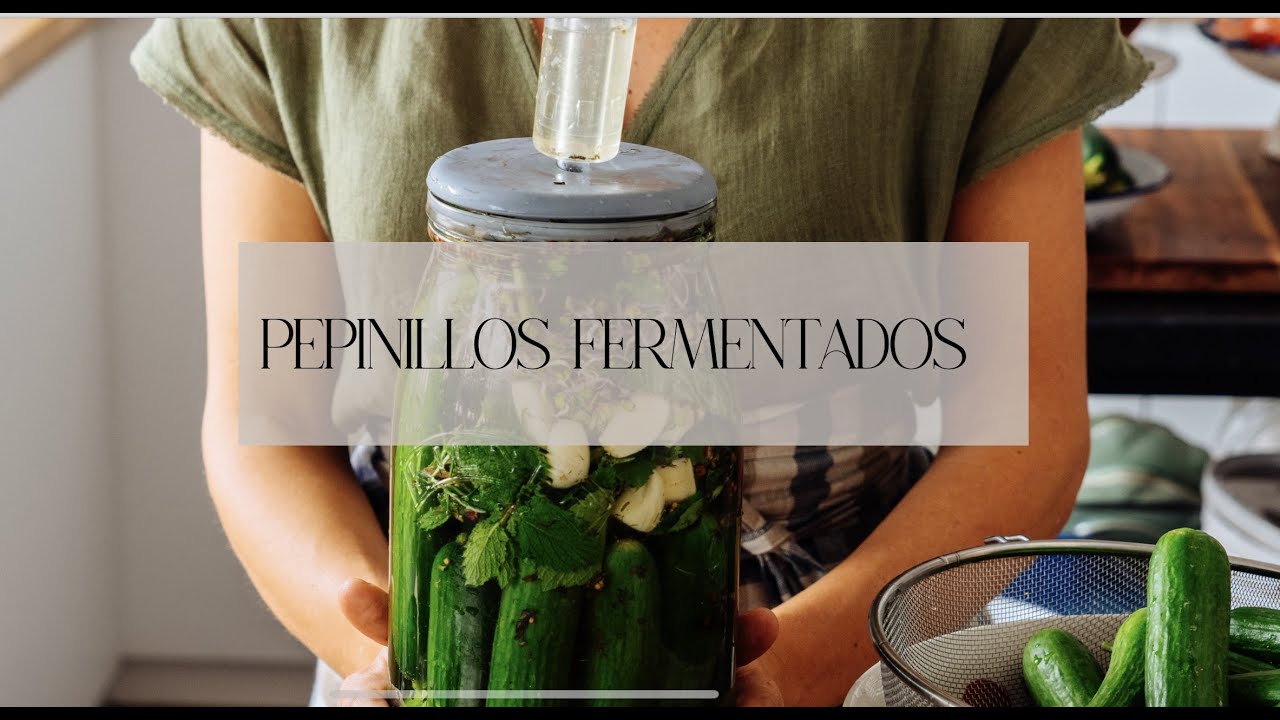 Pepinillos lacto fermentados