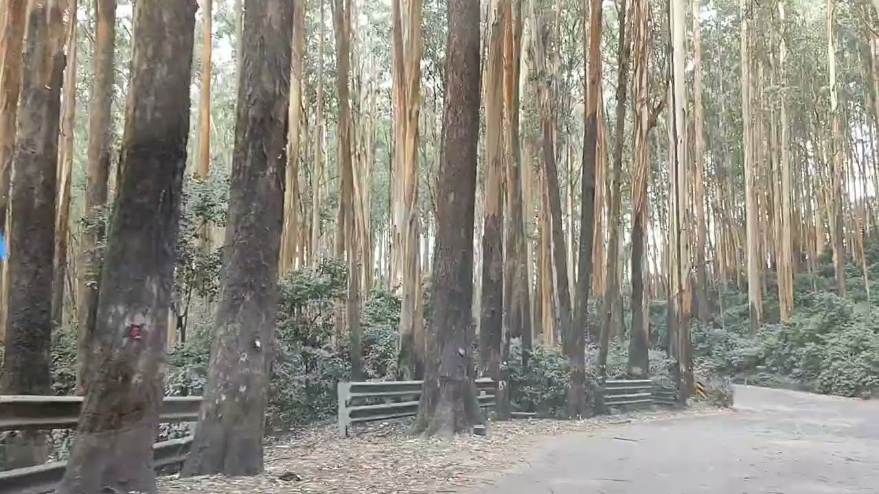 Doddabetta Peak hill station offers a perfect escape from the hustle and bustle of city life #ooty