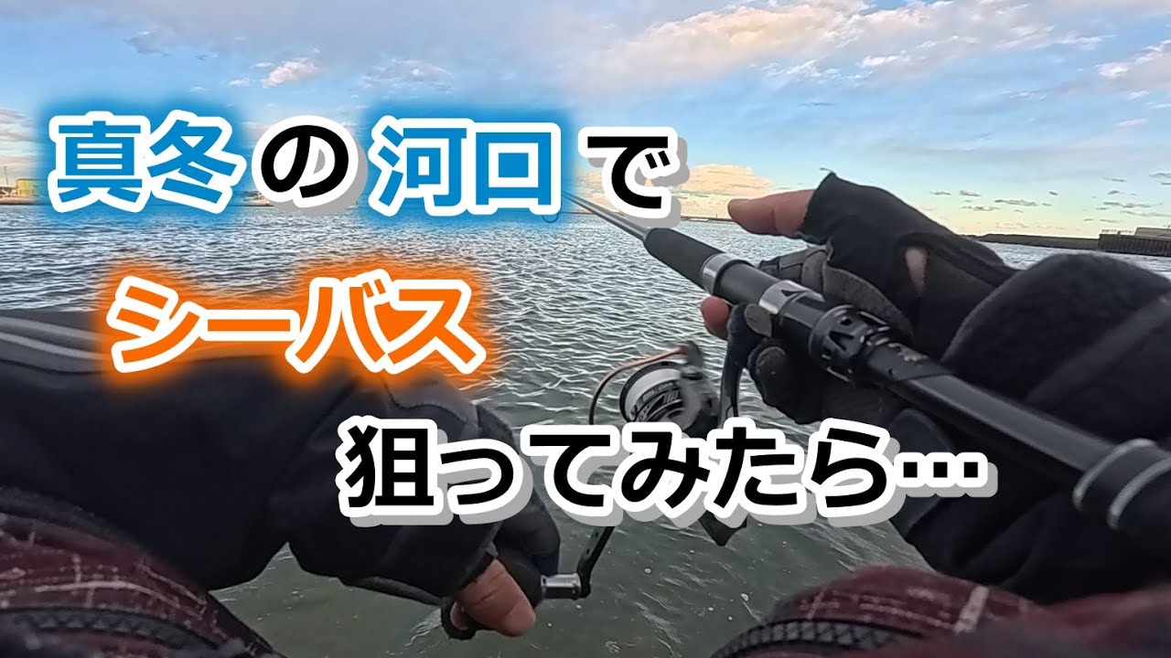 真冬の河口でシーバス狙ってみたら…【2024年12月28日】
