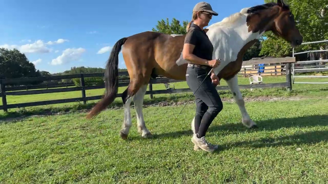 Liberty clinic demo with Tucci