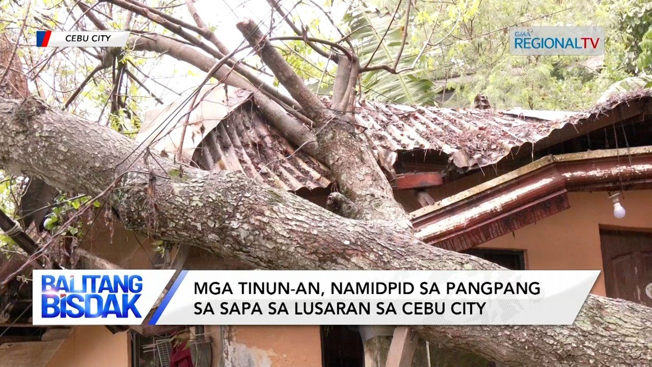 2 Dagkong Punoan sa Kahoy, Natumba ug miigo 2 ka Balay sa Cebu City | Balitang Bisdak