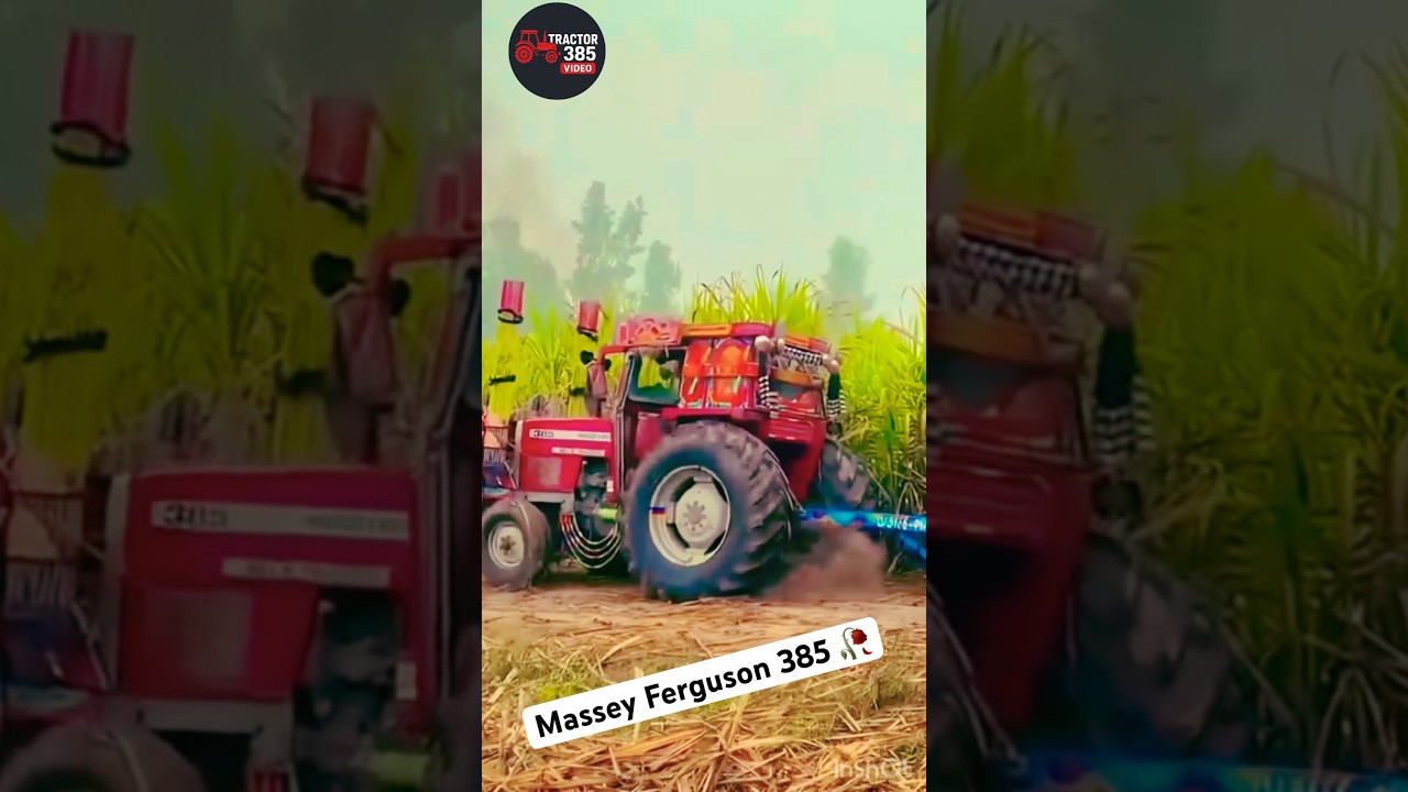 Massey Ferguson 385 torlly performance video # 