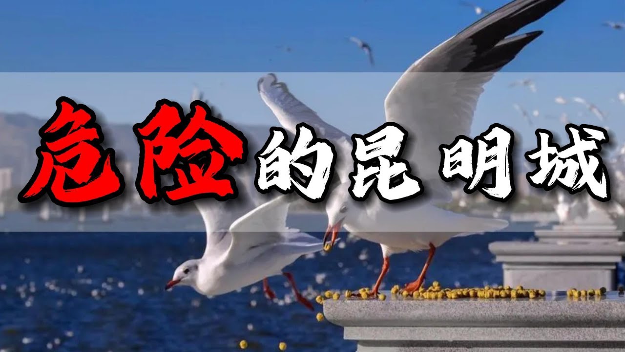 富贵险中求 危险的昆明城