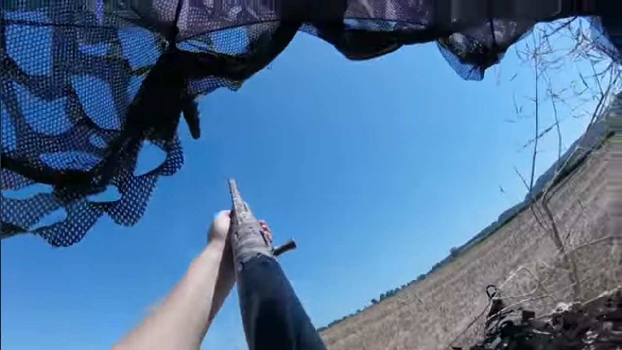 PIGEON SHOOTING. A very hot day on the pigeons.