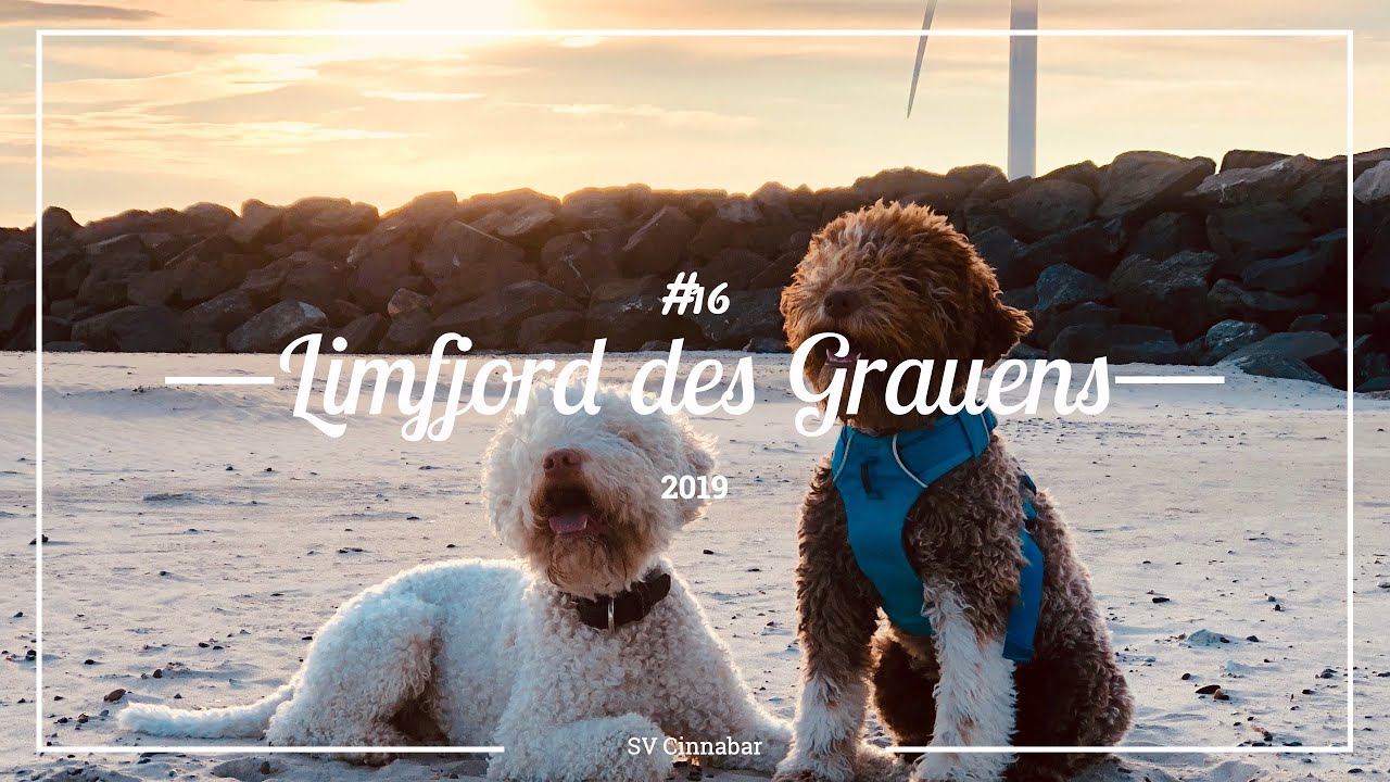 #16 Limfjord des Grauens - Helgoland der Träume – Gewitter und Windhose in NL