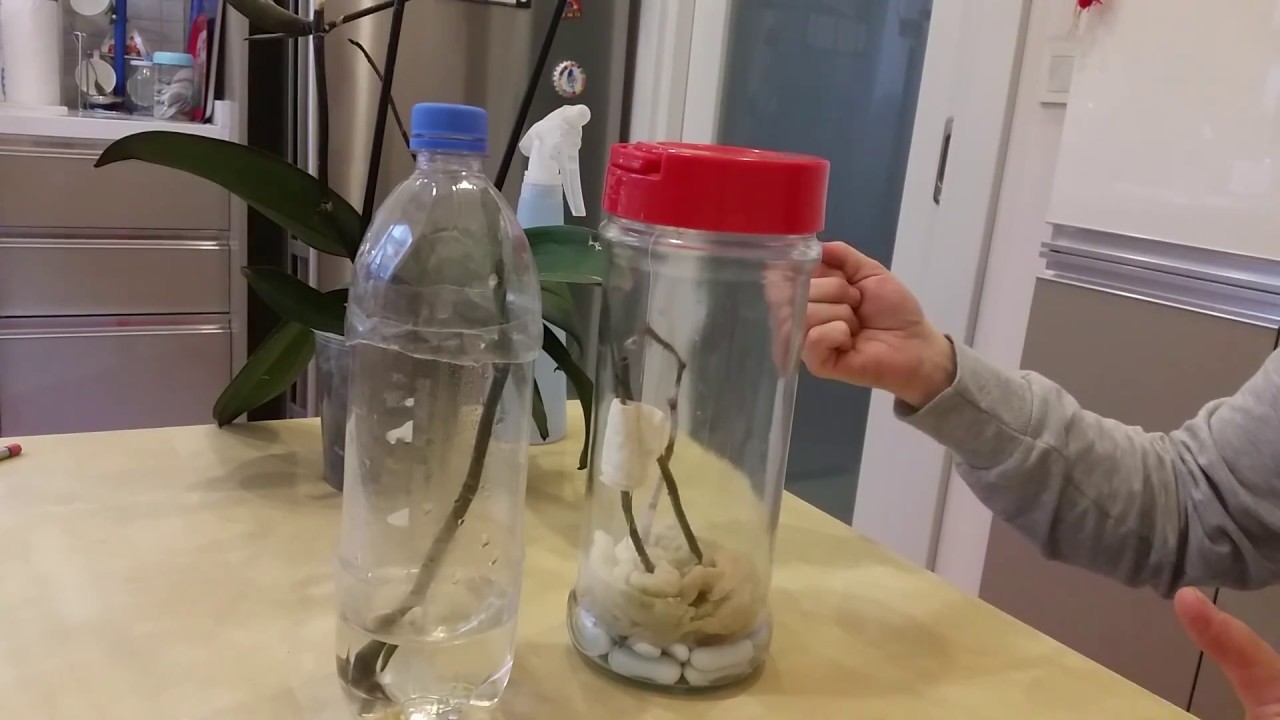 Keiki denemeleri üç farklı yöntem karşılaştırması