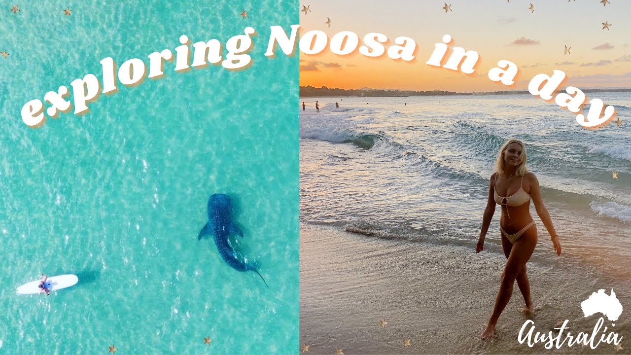 Surfing With A WHALESHARK! Day Trip To Noosa 2021 | Beautiful Beaches, Fairy Pools & Cafe's