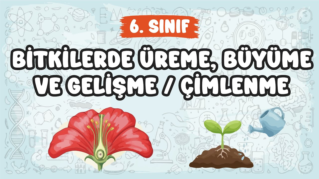 Bitkilerde Üreme, Büyüme ve Gelişme - Çimlenme | 6. Sınıf | 2026