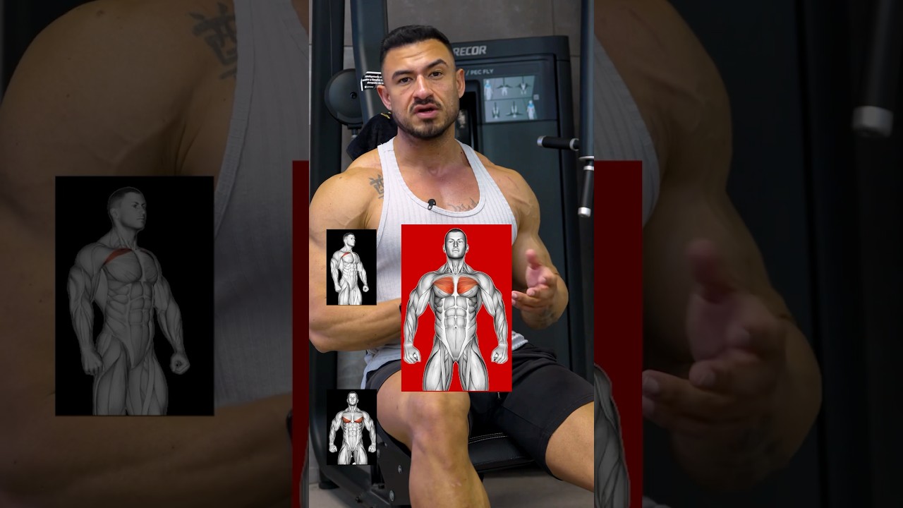 Brusttraining perfekt erkl&auml;rt 🔥