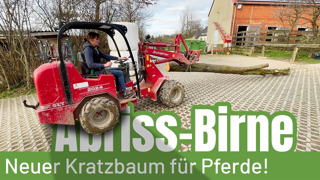 Farm-Vlog #021 - Baum fällt! Roter Teppich für die Pferde! Knabberstick XXL!