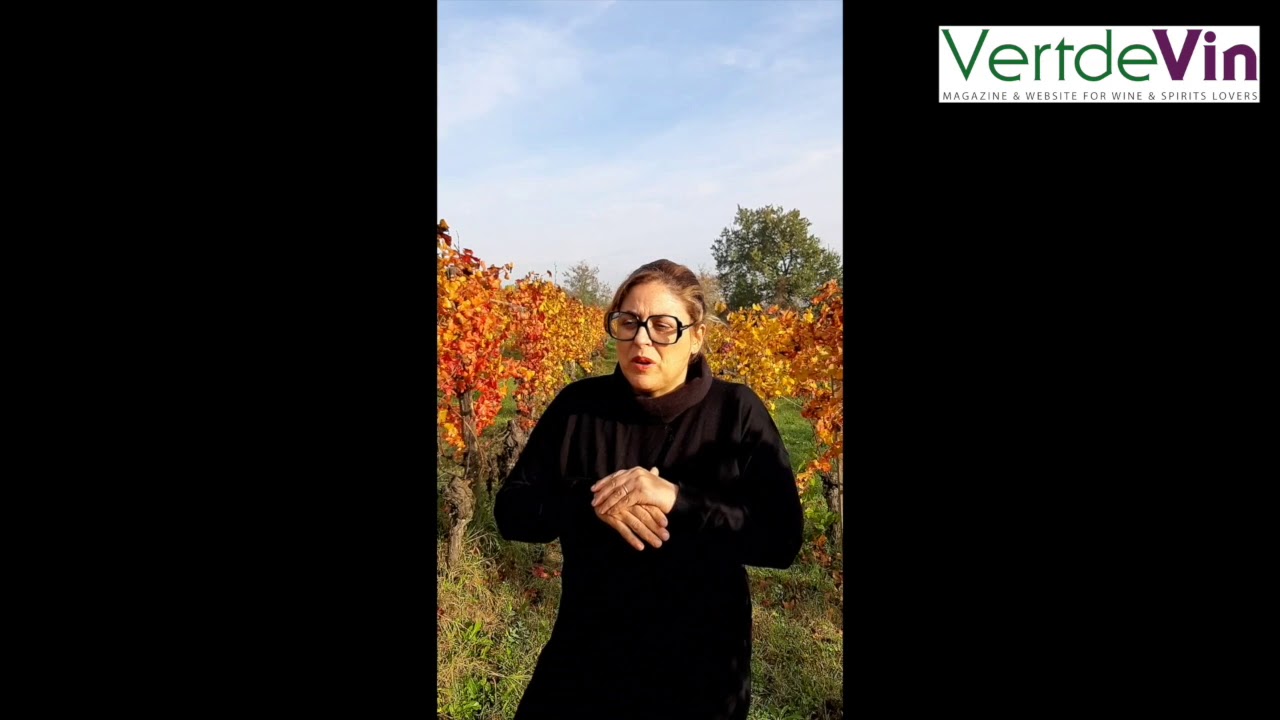 Nadia Curto (winemaker/owner of Vini Curto, Barolo / Piedmont) speaks about the 2020 harvest