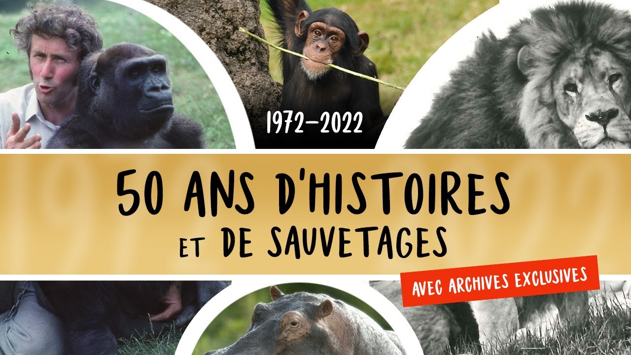 L'Espace Zoologique de St Martin la Plaine : 50 ans d'histoires et de sauvetages
