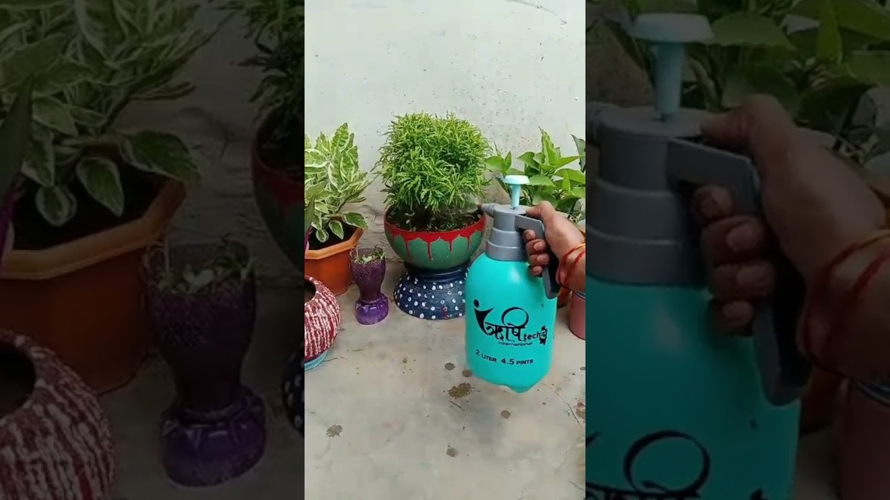 How to use pressure sprayer|| plastic spray bottle|| #garden #short #treanding  #viral
