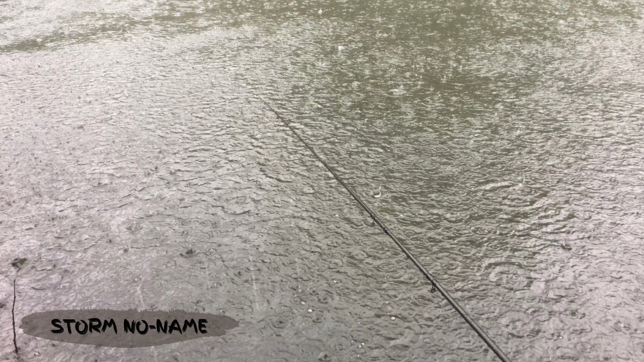 🎣 Wędkarstwo | Wędkarstwo w Storm No-Name
