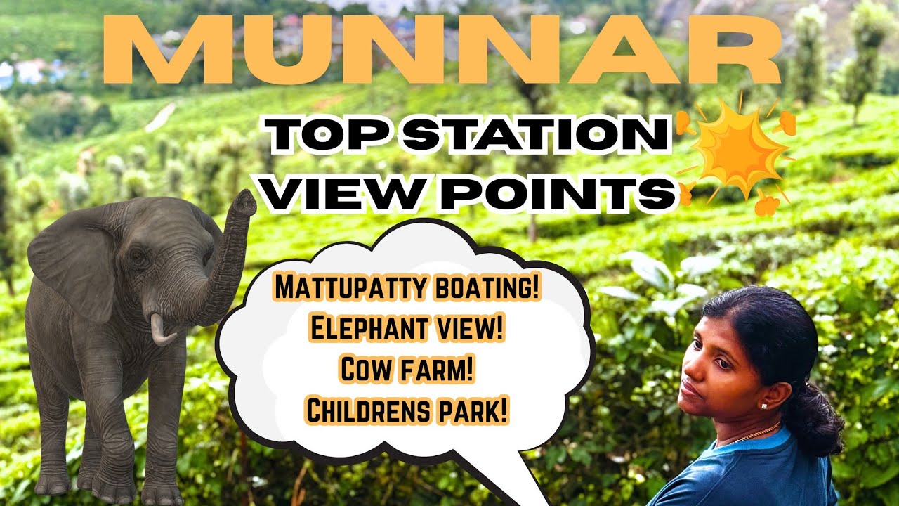 Munnar Top Station view points 🌱💥| Pulmedu|Indo swiss Cow farm | மாட்டுப்பட்டி to டாப் பாய்ன்டு ⛰️✨️