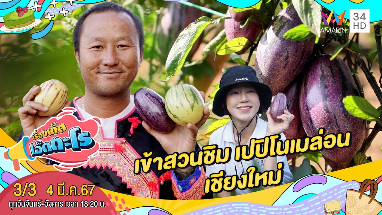 เข้าสวนชิม เปปิโนเมล่อน เชียงใหม่ | เรื่องเด็ดเอ็ดตะโร | 4 มี.ค.67 (3/3)