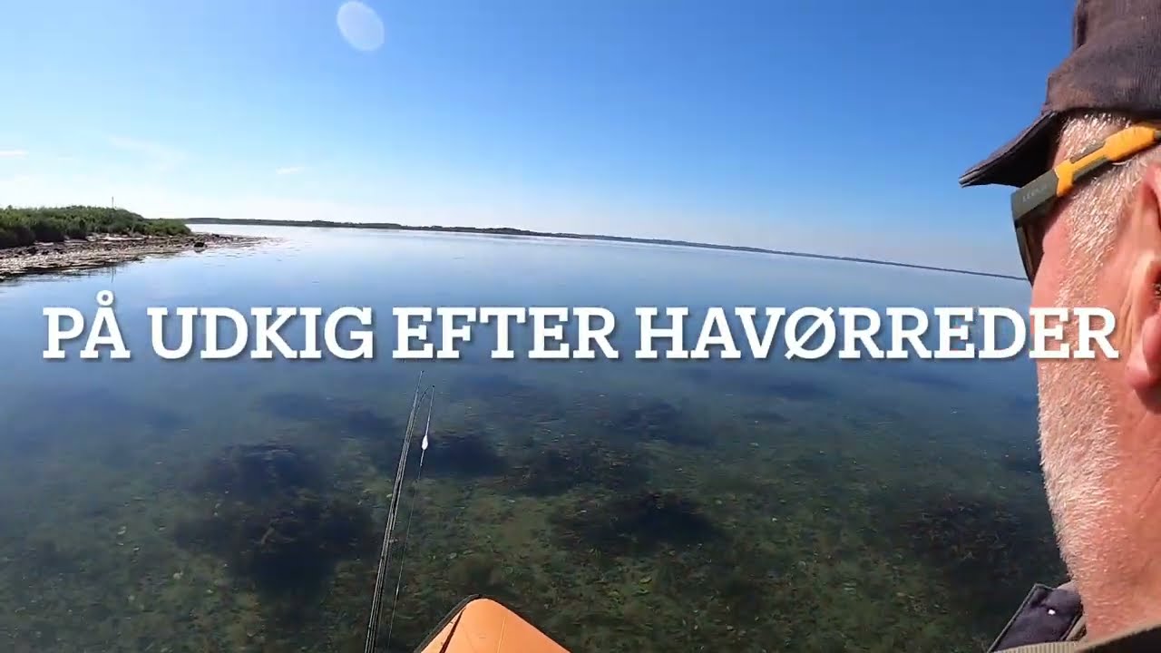 Havørred fiskeri i svære forhold.