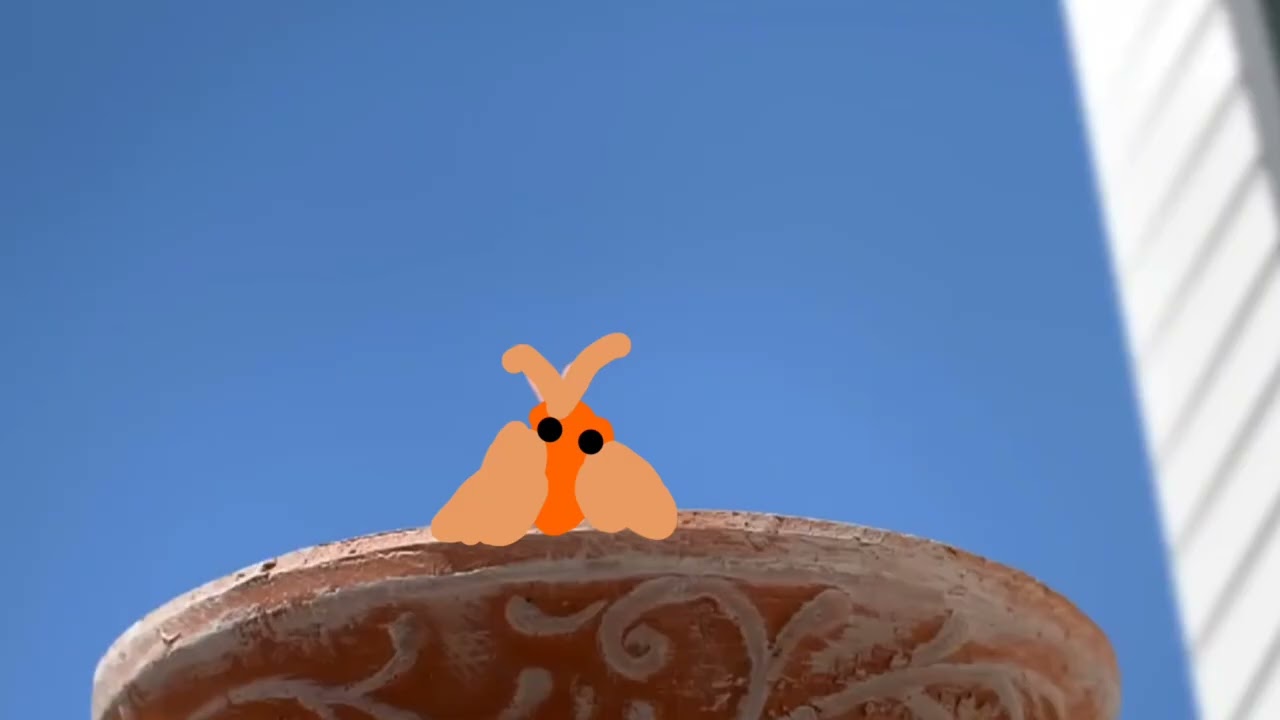 Lucas the spider where did it go? short