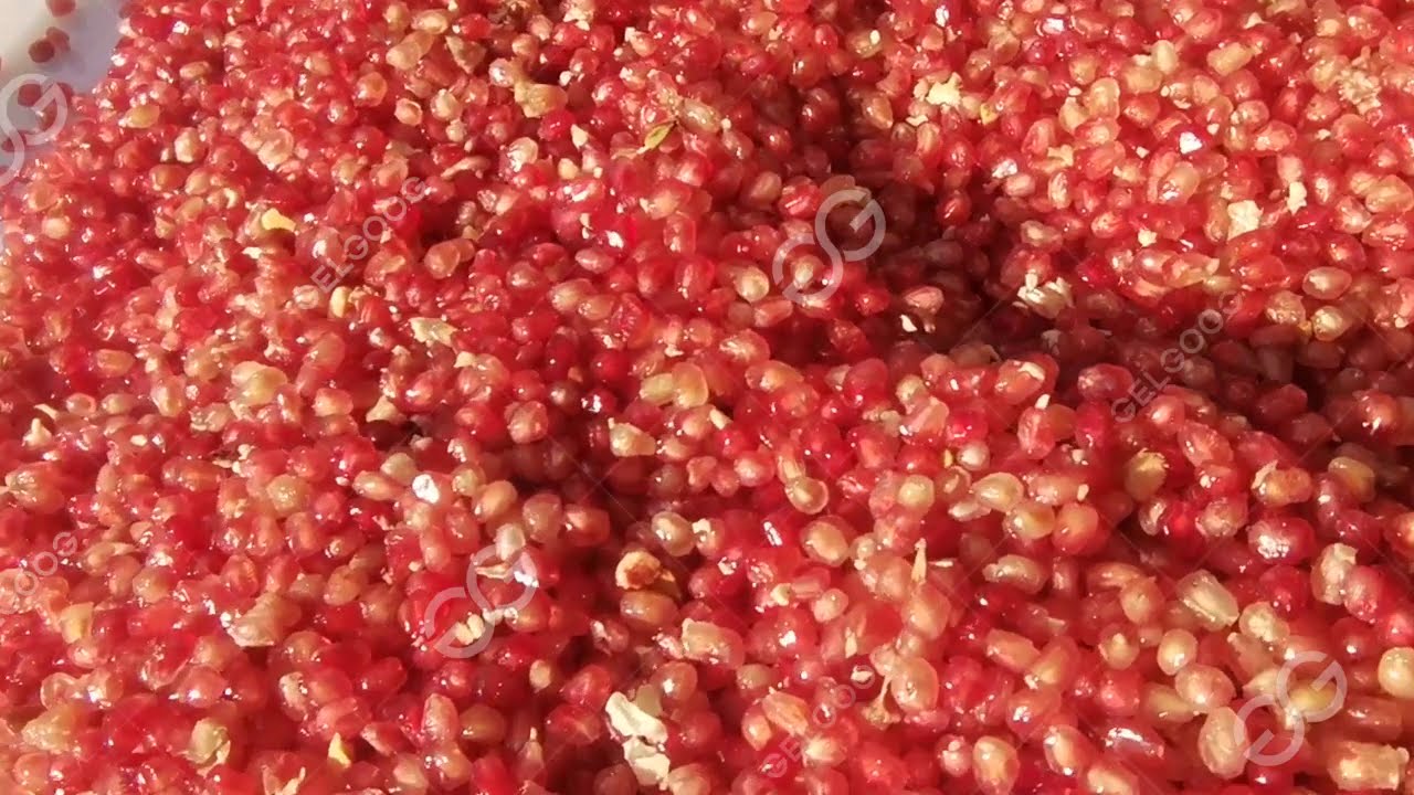 Pomegranate Processing Line Pomegranate Seed Removal Machine Pomegranate Washing Machine