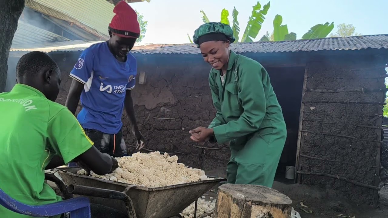 How We Process & Store Our Farm-Fresh Maize for Sale!