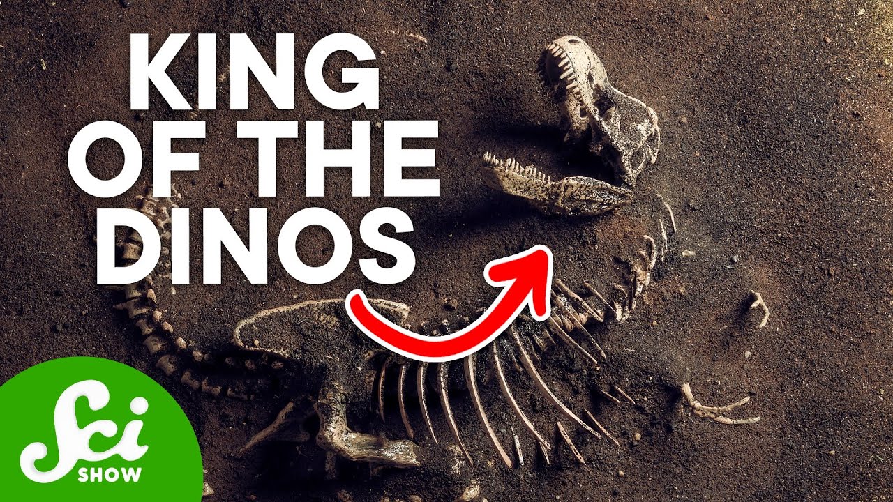 The Fiercest of Them All: Meet the T-Rex