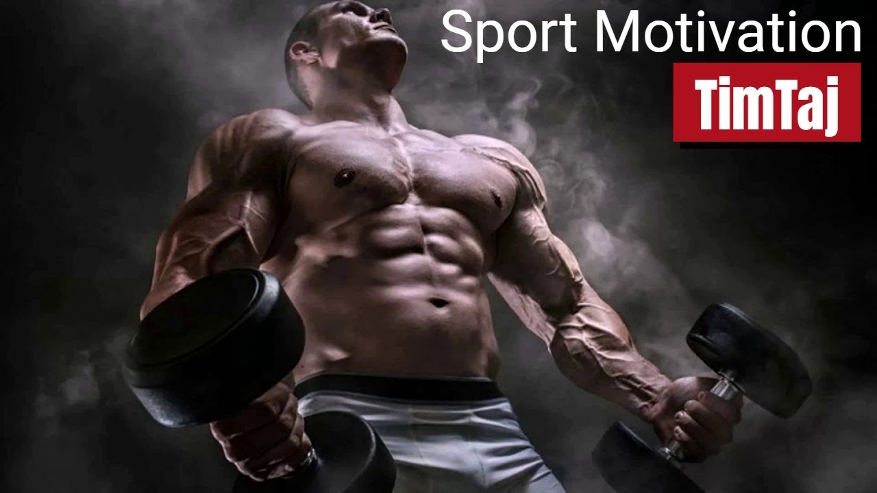 Sport Motivation by TimTaj | Dynamic Music for Sports and Fitness 💪