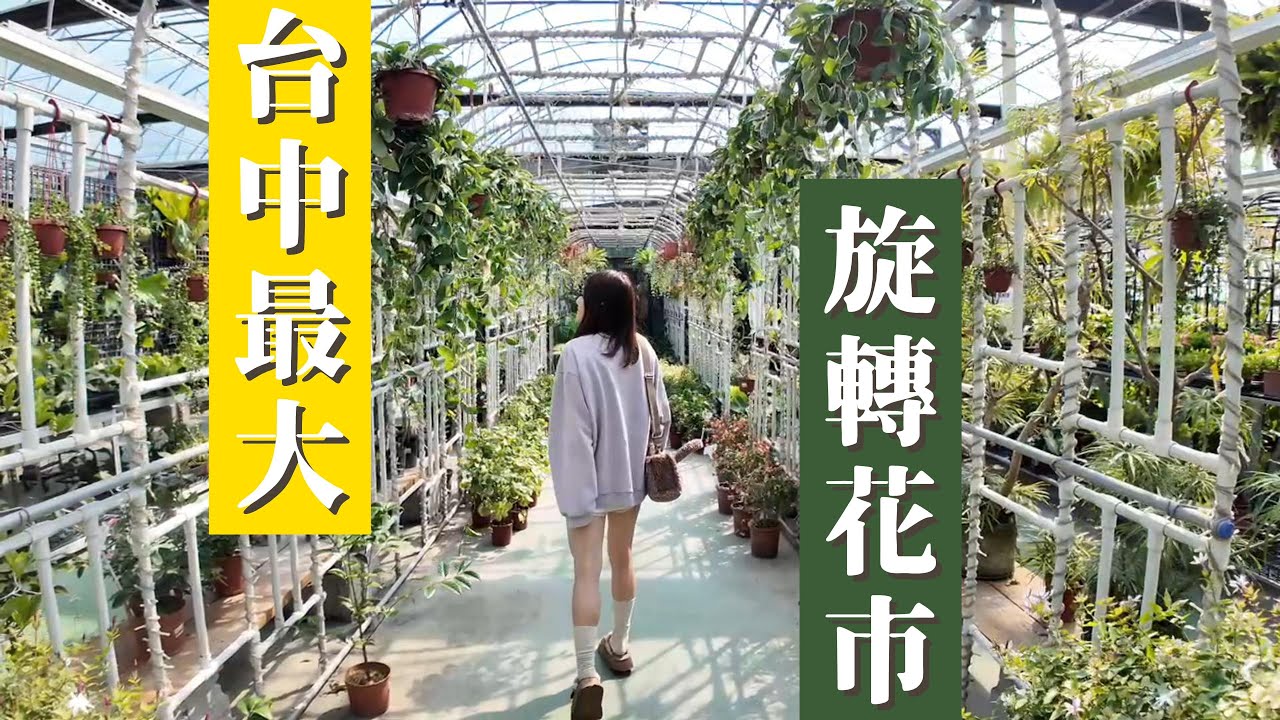 台中北屯-旋轉花市2訪-觀葉植物大賣場！乾淨整齊兩層樓超好逛～