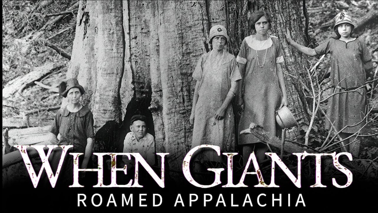 When Giants Roamed Appalachia: The Story of the Chestnut