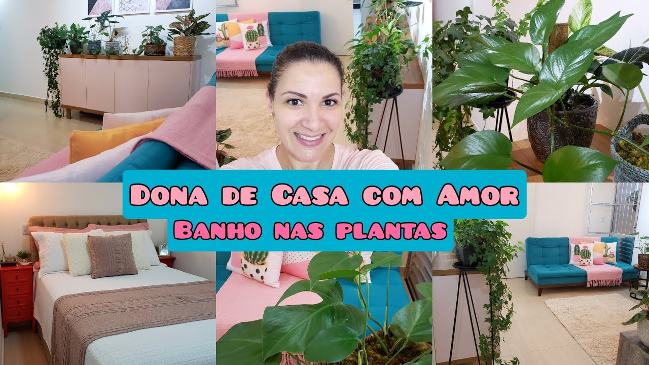 DONA DE CASA COM AMOR | CUIDANDO DA PLANTAS | CASA LIMPA E ORGANIZADA | LAVEI ROUPA -  FER DINIZ