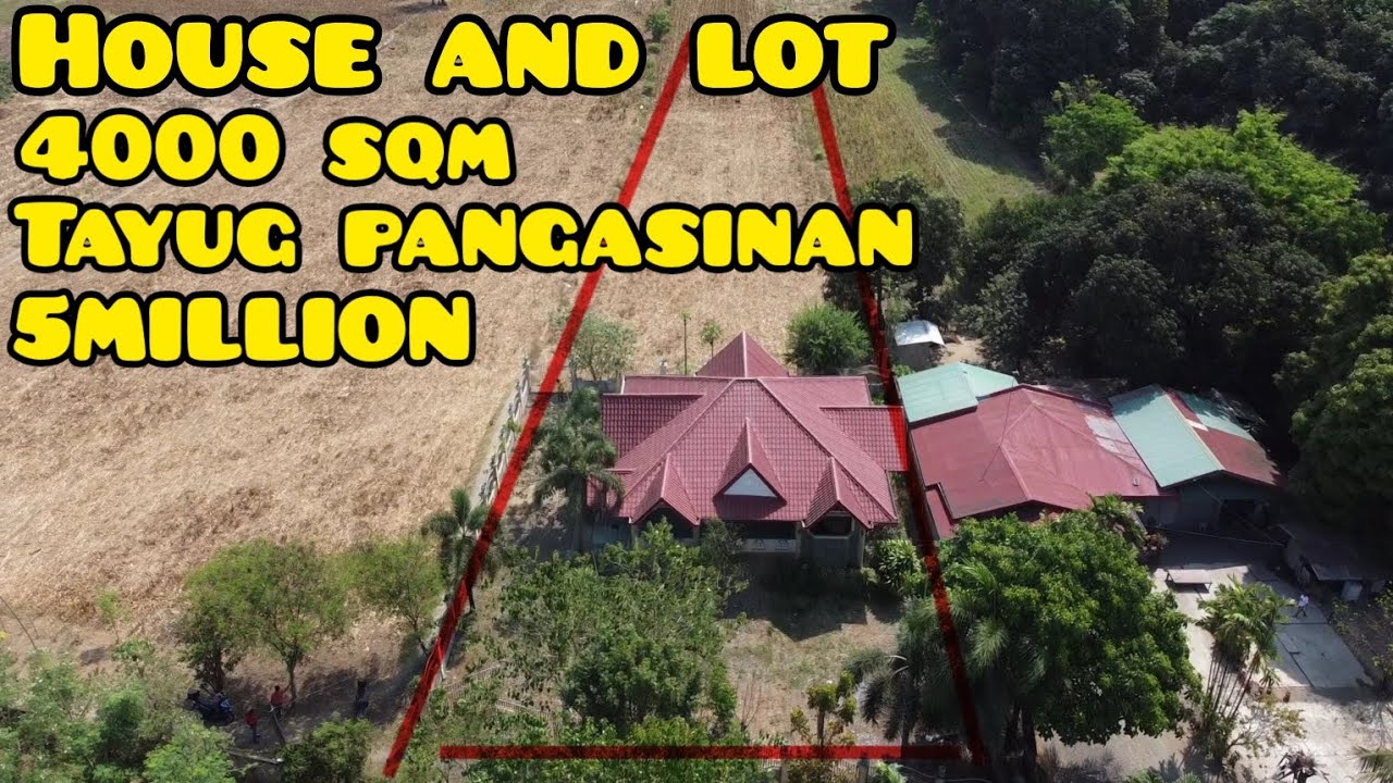 #vlog #315 HOUSE AND LOT TAYUG PANGASINAN 4000 SQM MORE OR LESS 5MILLION #realestate #houseforsale