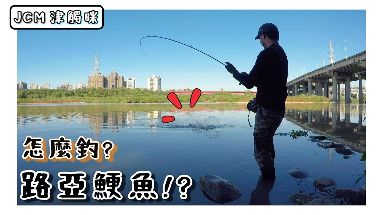 【釣魚津觸咪】台中觀光點，超好玩的啦! #V特 #中部釣魚 #路亞 #路亞鯁魚
