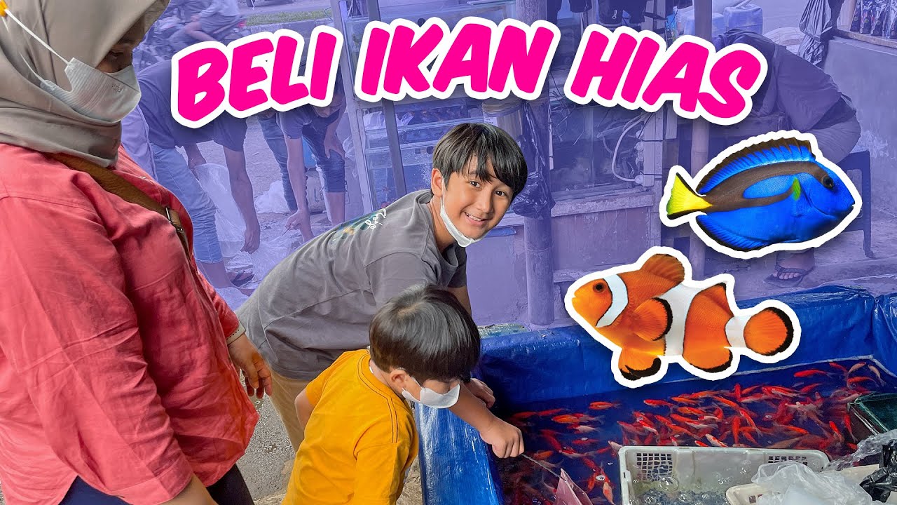 Belanja Ikan Hias di Pasar Ikan - Keluarga Ziyan