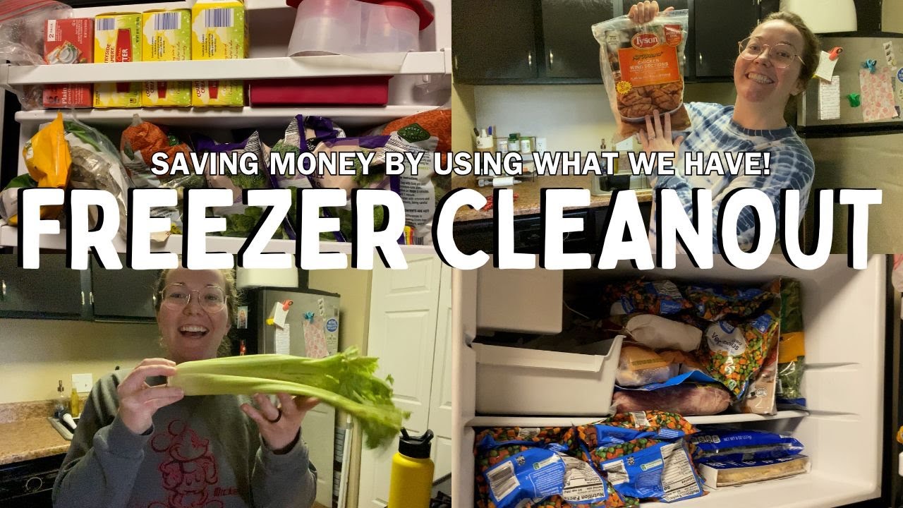 Vlog #234| Freezer Cleanout Challenge! What's For Dinner?