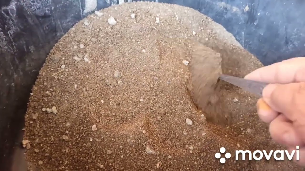 ГЕРАНЬ ГУЛИНИ КЎПАЙТИРАМИЗ