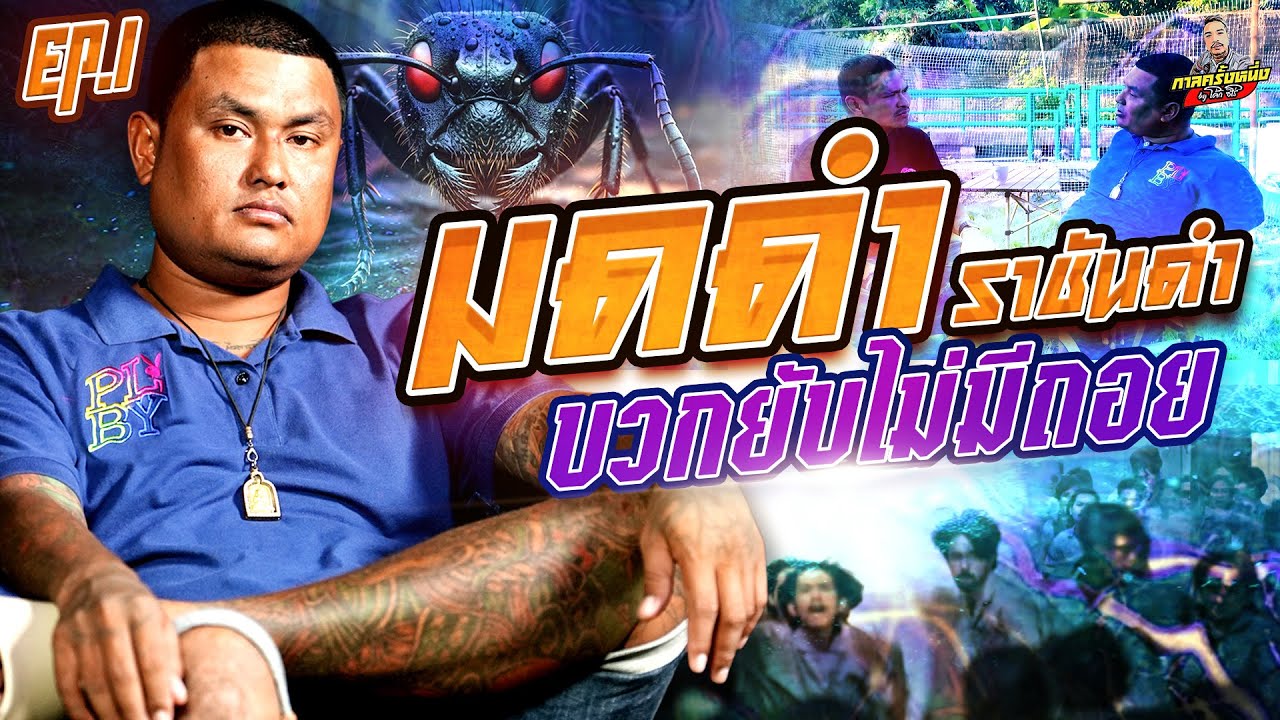 EP.274 จุดเปลี่ยนจากไม่สู้คน สู่การไม่ยอมก้มหัวให้ใคร | มดดำ ราชันดำ (1) | กาล ครั้งหนึ่งByโค้กซีโร่