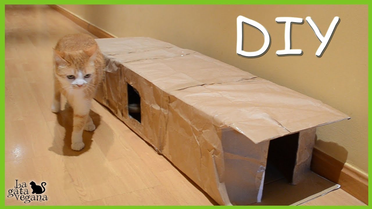 DIY TÚNEL PARA GATOS DE CARTÓN CASERO RECICLADO FÁCIL Y BARATO | HAZLO TÚ MISMO