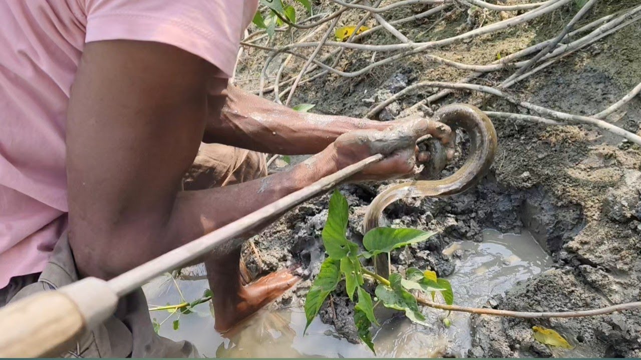 আজকে কুচে ধরতে গিয়ে কি কি ধরলাম রে ভাই 😂😂 haw to fishing vloge video 🔥