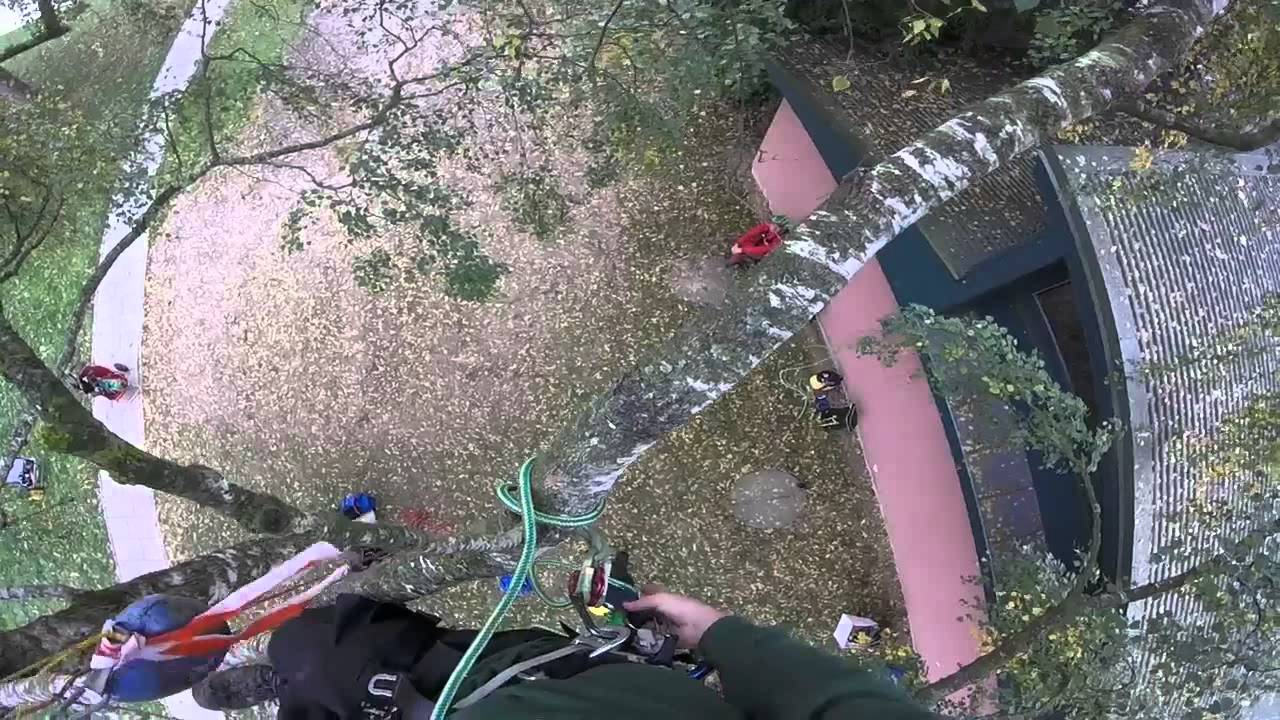 SKT A Praxisprüfung