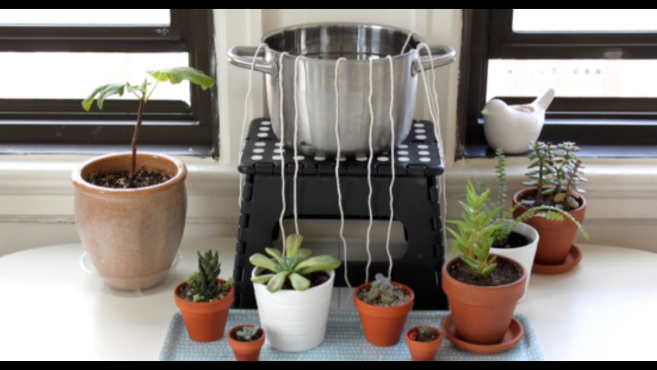 Isso vai REGAR suas plantas durante as suas FÉRIAS - funciona de maravilha