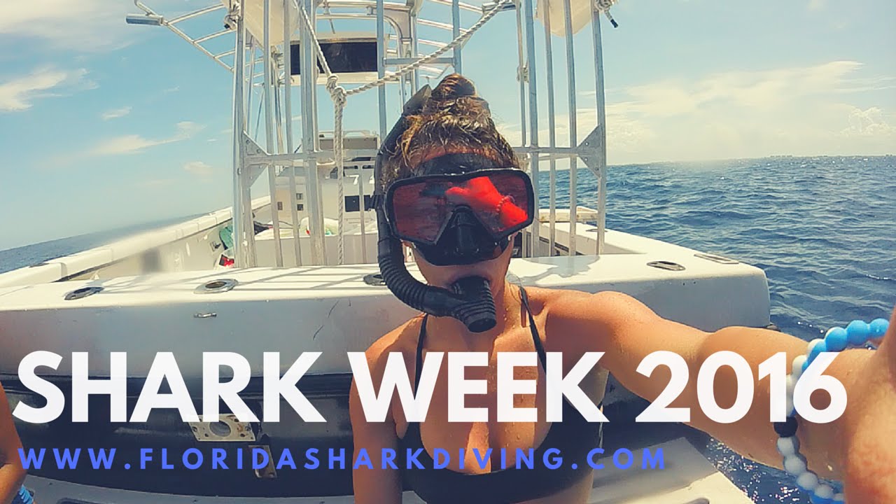 Bikini Girls Diving with Sharks | Shark Week 2016
