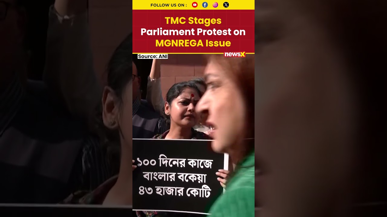 #watch | TMC Protests in Parliament Over MGNREGA #tmcprotest #tmc #mamatabanerjee #bjpvstmc #shorts